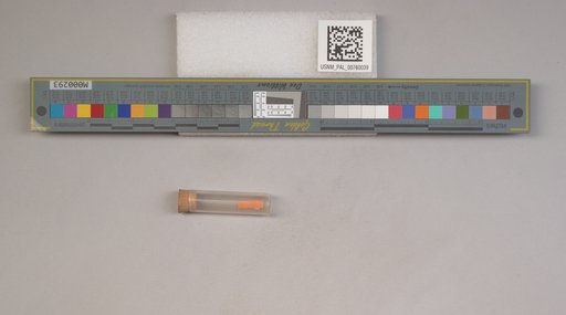 NSF ADBC EPICC TCN