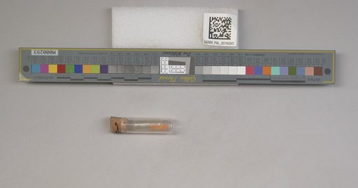 NSF ADBC EPICC TCN