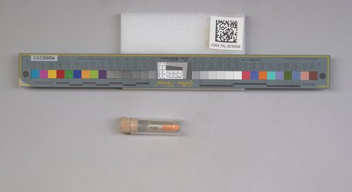 NSF ADBC EPICC TCN