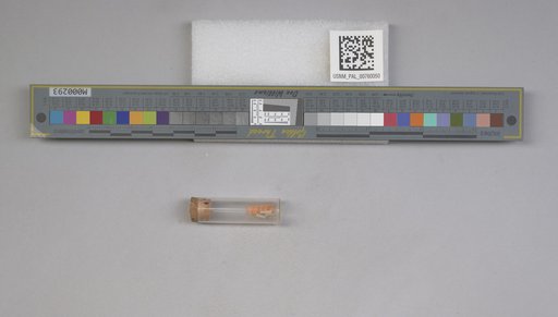 NSF ADBC EPICC TCN