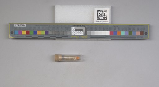 NSF ADBC EPICC TCN