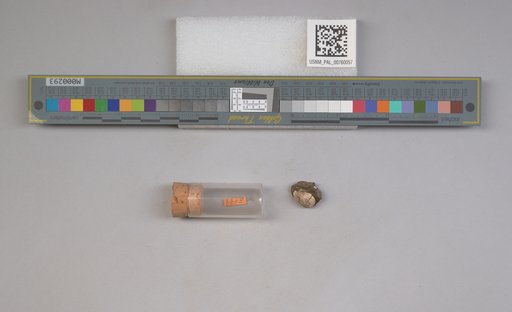 NSF ADBC EPICC TCN