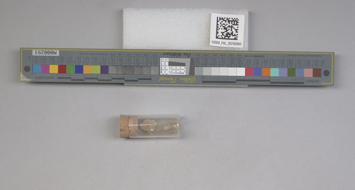 NSF ADBC EPICC TCN