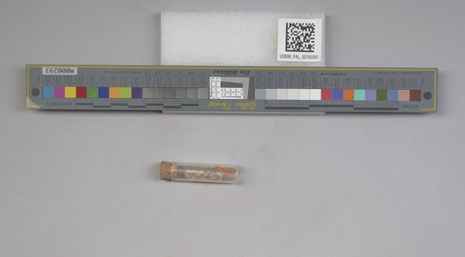 NSF ADBC EPICC TCN