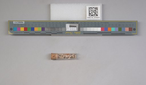 NSF ADBC EPICC TCN