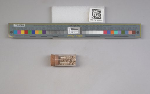 NSF ADBC EPICC TCN