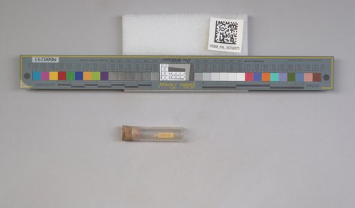 NSF ADBC EPICC TCN