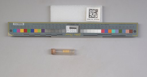 NSF ADBC EPICC TCN
