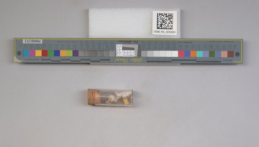 NSF ADBC EPICC TCN