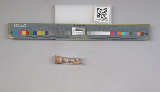 NSF ADBC EPICC TCN