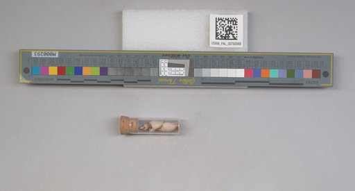NSF ADBC EPICC TCN