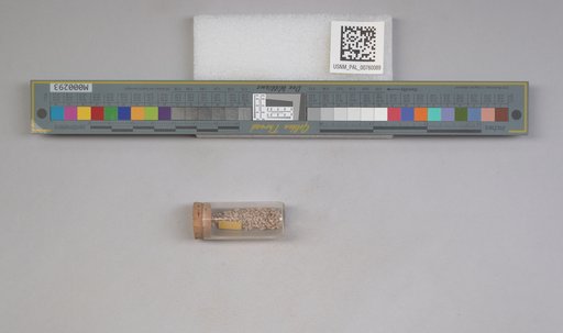 NSF ADBC EPICC TCN