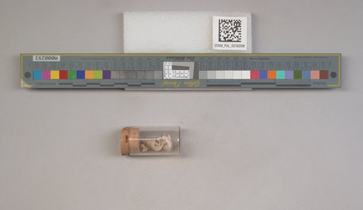 NSF ADBC EPICC TCN