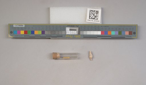 NSF ADBC EPICC TCN