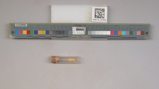 NSF ADBC EPICC TCN