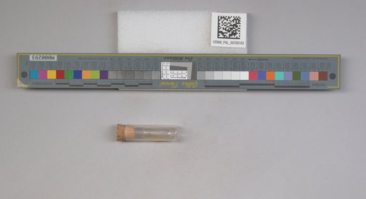 NSF ADBC EPICC TCN