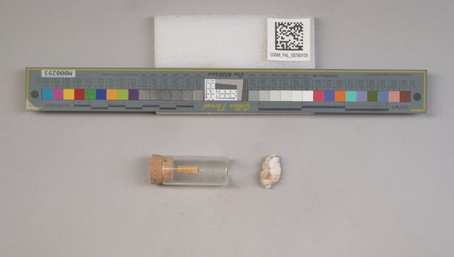 NSF ADBC EPICC TCN
