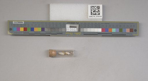 NSF ADBC EPICC TCN