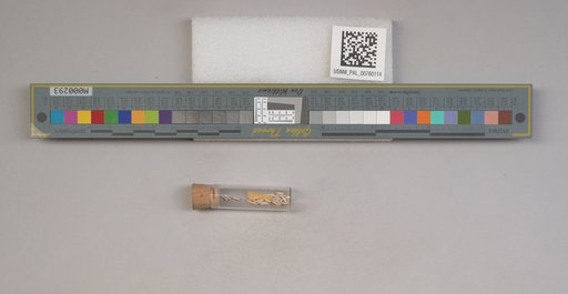 NSF ADBC EPICC TCN