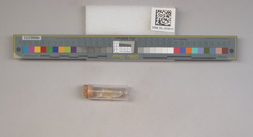 NSF ADBC EPICC TCN