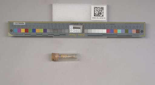 NSF ADBC EPICC TCN