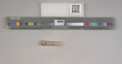 NSF ADBC EPICC TCN