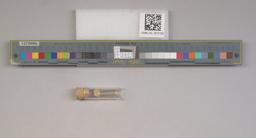 NSF ADBC EPICC TCN