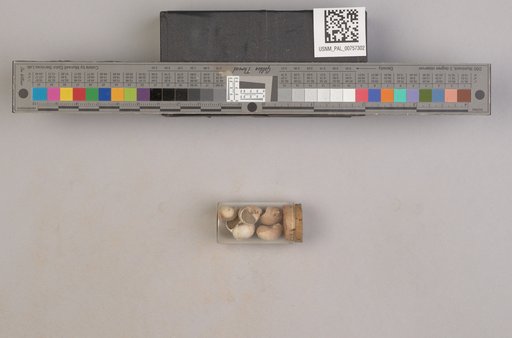NSF ADBC EPICC TCN