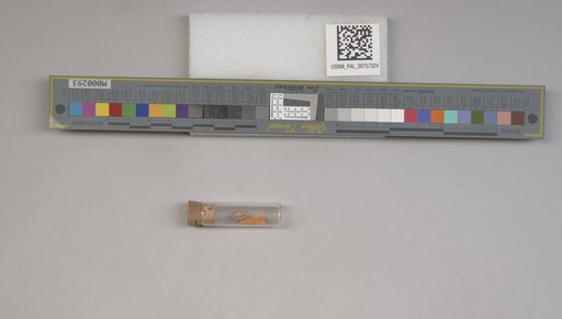 NSF ADBC EPICC TCN
