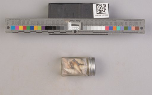 NSF ADBC EPICC TCN