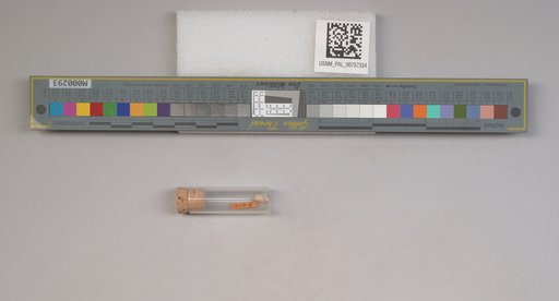 NSF ADBC EPICC TCN