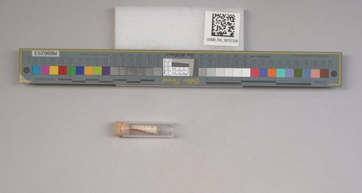 NSF ADBC EPICC TCN