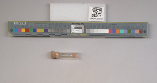 NSF ADBC EPICC TCN
