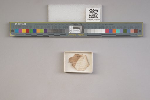 NSF ADBC EPICC TCN
