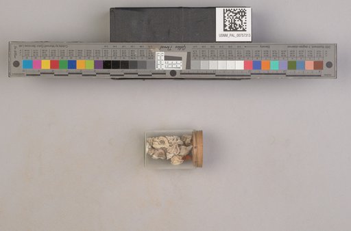 NSF ADBC EPICC TCN