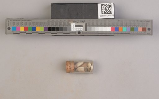 NSF ADBC EPICC TCN