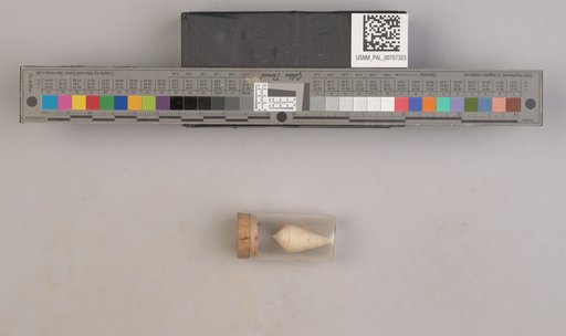 NSF ADBC EPICC TCN