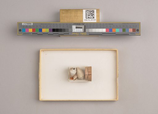 NSF ADBC EPICC TCN