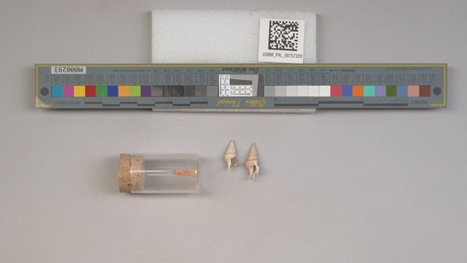 NSF ADBC EPICC TCN