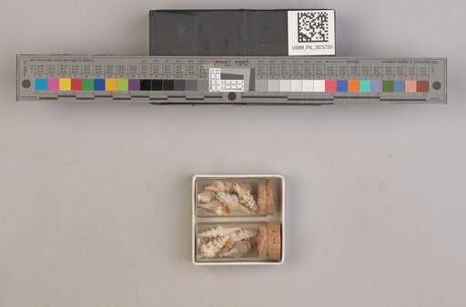 NSF ADBC EPICC TCN