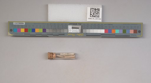 NSF ADBC EPICC TCN