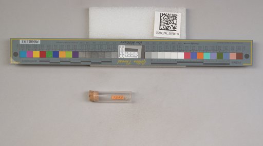 NSF ADBC EPICC TCN
