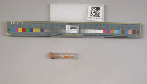 NSF ADBC EPICC TCN