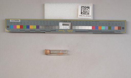 NSF ADBC EPICC TCN
