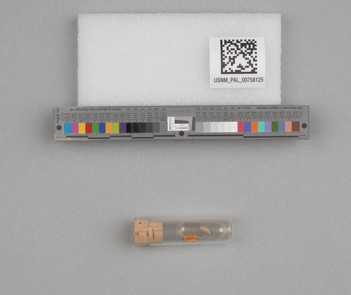 NSF ADBC EPICC TCN