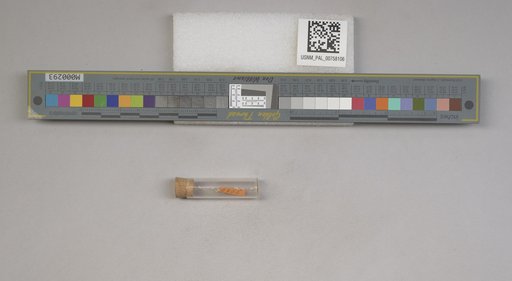 NSF ADBC EPICC TCN