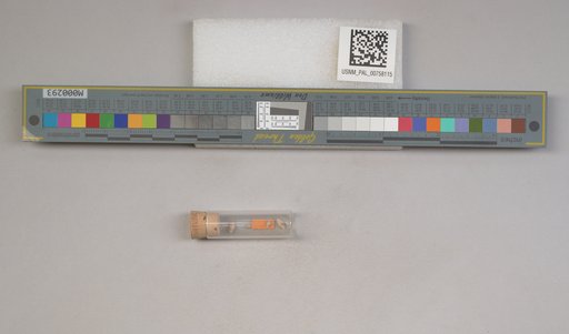 NSF ADBC EPICC TCN