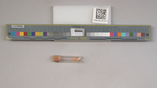 NSF ADBC EPICC TCN