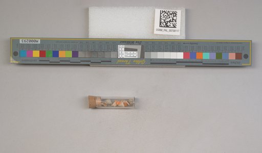 NSF ADBC EPICC TCN