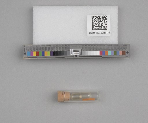 NSF ADBC EPICC TCN